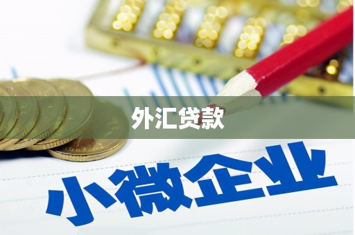 昌都外汇贷款